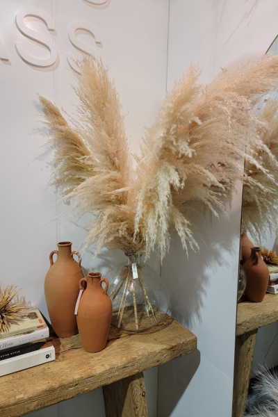 Pampas grass for a cozy home